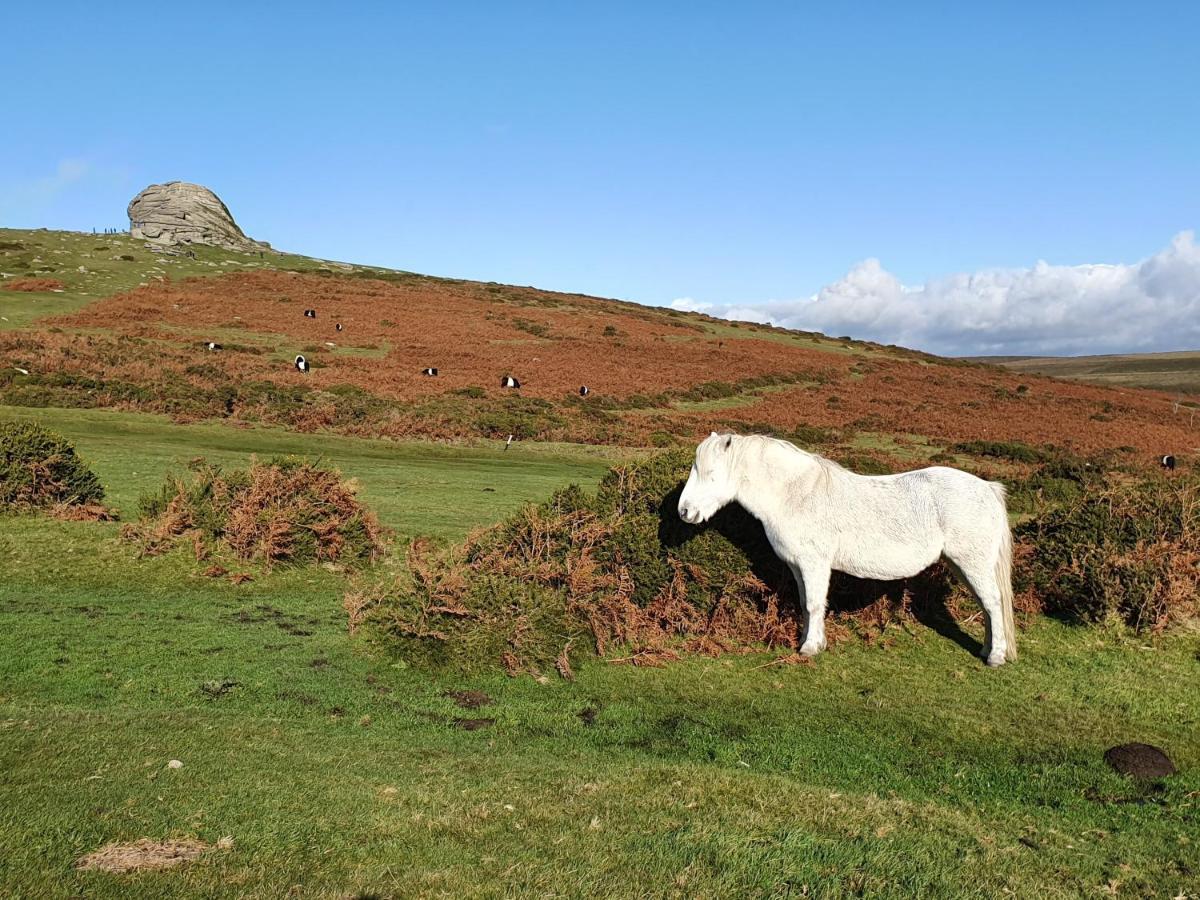 The Stable - The Cottages At Blackadon Farm 艾维布里奇 外观 照片